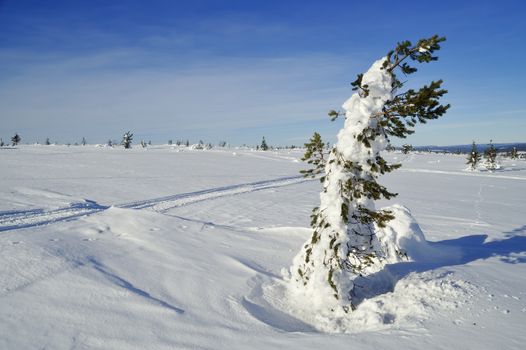 Winter scenery of Tandadalen in Sweden.