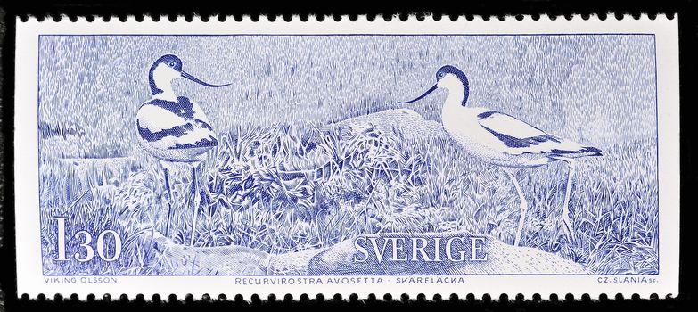 SWEDEN - CIRCA 1978: stamp printed by Sweden, shows Avocet, circa 1978