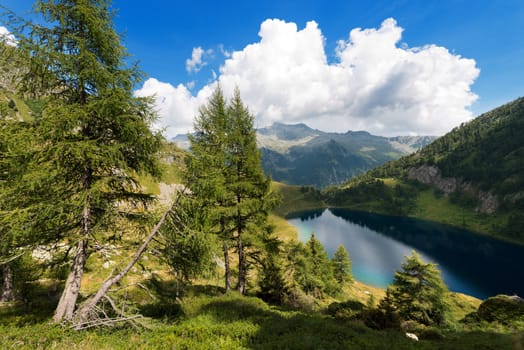 Lago di Campo (Campo lake) 1944 m. Small beautiful alpine lake in the National Park of Adamello Brenta, Trentino Alto Adige, Italy