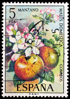 SPAIN - CIRCA 1975: stamp printed by Spain, shows Apple Tree, circa 1975