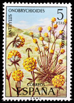 SPAIN - CIRCA 1974: stamp printed by Spain, shows Anthyllis Onobrychioides, circa 1974