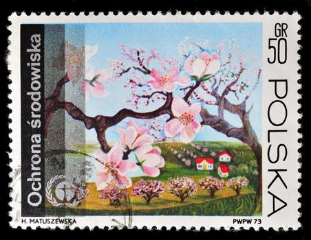 Poland - CIRCA 1974: A stamp is printed in Poland and visited Peach branch, let out CIRCA in 1974.