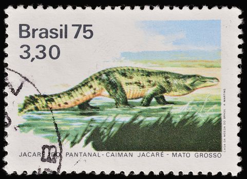 BRAZIL - CIRCA 1975: A stamp printed in Brazil shows Brazilian caiman, circa 1975