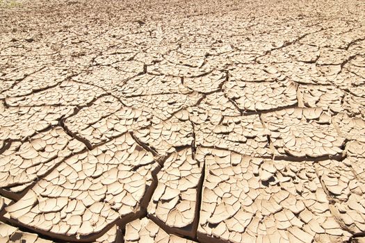 Detail of the cracked ground - dry season
