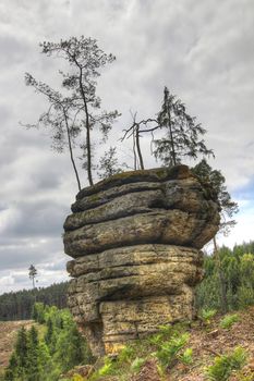 Puffball - bizarre rock formation in the forests of the Kokorin area, Czech republic