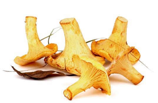 Heap of Perfect Raw Chanterelles with Dry Leaf and Grass isolated on White background