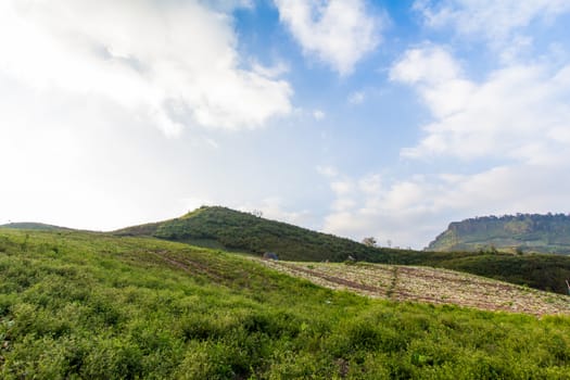 mountain landscape