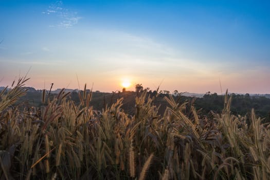 sunset in the mountains landscape