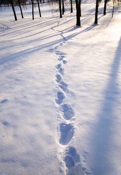 human footprints left in the snow. Winter