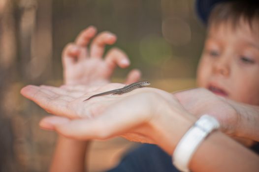 Mother and her little son find lizard in the forest