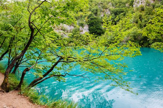 Extremely clear water of Plitvice Lakes, Croatia. Rainy day.