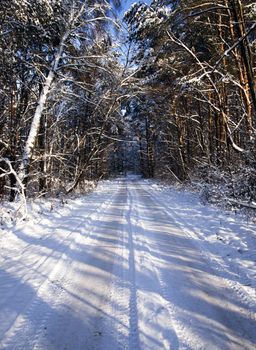   the usual road passing through the wood. winter season