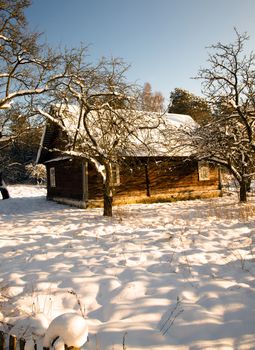 the wooden house made of a tree and photographed in a winter season