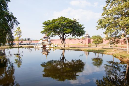 Tree in Surasri Camp, Kanchanaburi in Thailand