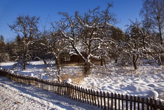  the old wooden house in a winter season. Belarus