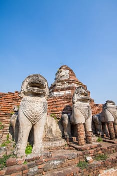 Ruins lion statue in Ayutthaya Historical Park, Thailand