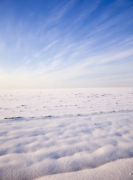   the agricultural field covered with snow in a winter season