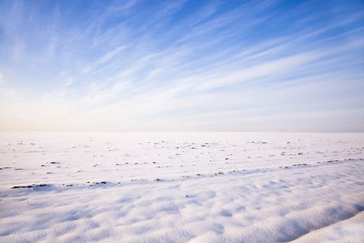   the field covered with snow in a winter season. overcast