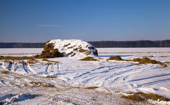 Rick of straw in the field. snow covered. Winter