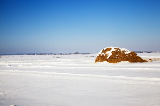 covered with snow in the winter time