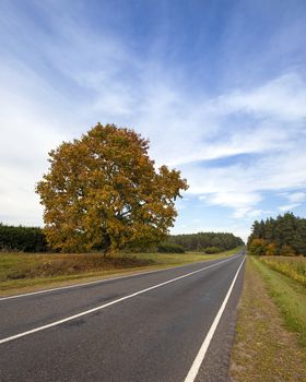 little asphalted road in the summer time