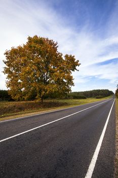  the asphalted road to an autumn season. Belarus