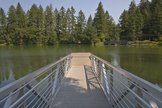 Pedestrian ladder and platform on a lake in Washigton state.