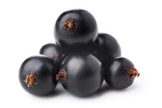 Black currant berries isolated on white. Highly detailed image