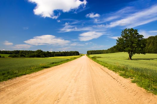  rural road in the summer time year