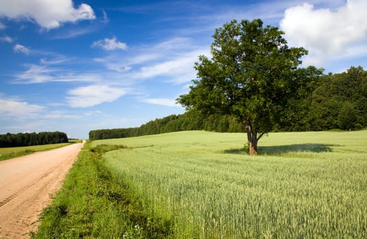  rural road in the summer time year