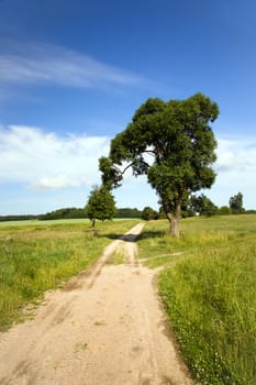  rural road in the summer time year