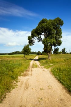   not asphalted country rural road located in Belarus