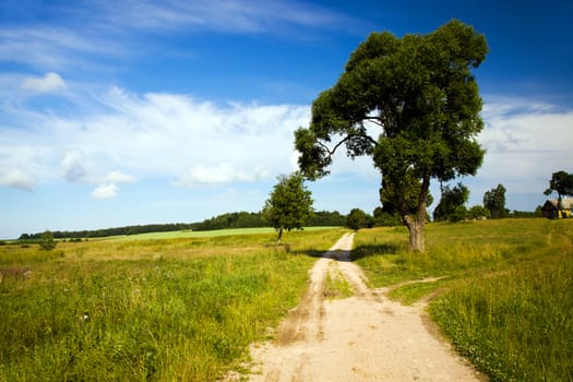  rural road in the summer time year