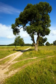  rural road in the summer time year