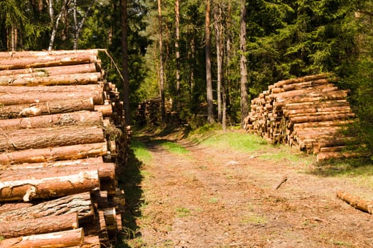   the combined together cut-down and split firewood. a background from firewood