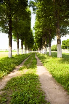  rural road in the summer time year