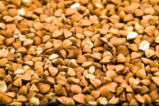 the photographed close up buckwheat