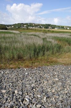 France, Normandy, Cotentin, landscape