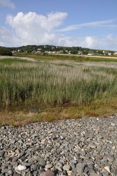 France, Normandy, Cotentin, landscape