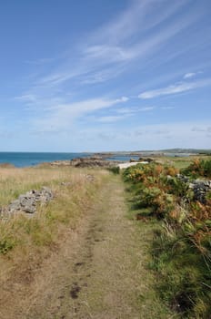 Path along coast in Cotentin, in Normandy