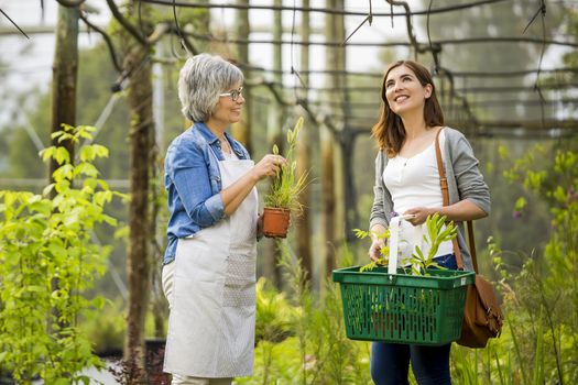 Beautiful mature florist helping a female customer to choose plants