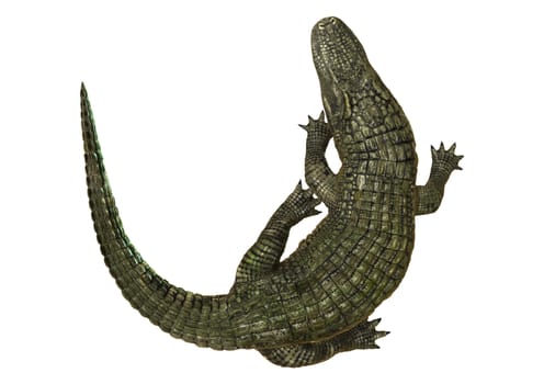 3D digital render of an American alligator isolated on white background