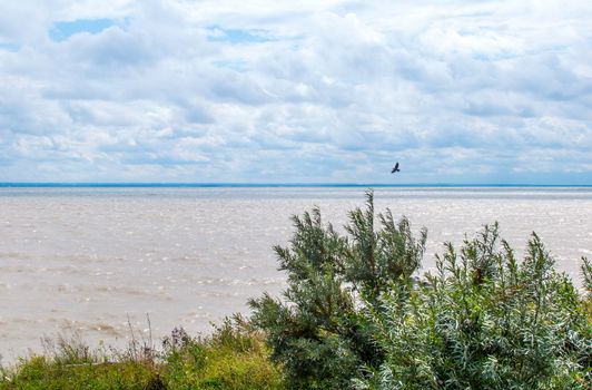 View from the shore of the man-made lake, reservoir Ob Sea, Novosibirsk, West Siberia, Russia