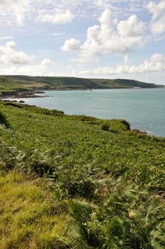 France, Normandy, Cotentin, landscape, seafront