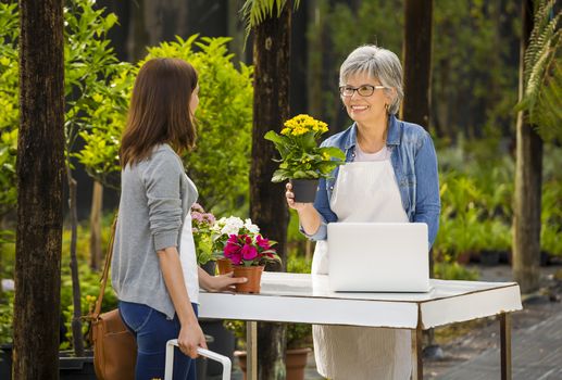 Mature women working in a flower shop and talking with a customer