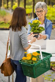 Mature women working in a flower shop and talking with a customer
