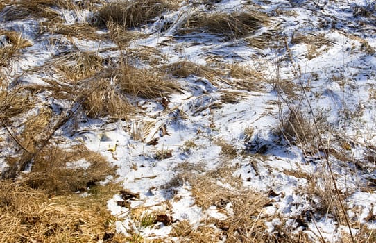   the snow covering a ground with a yellow grass which was on it. spring