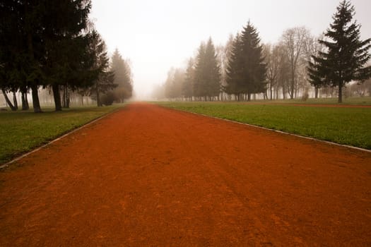   the red foot road in park in a spring season. fog. morning