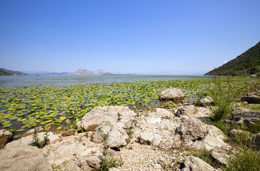   Lake Skadar in summertime of year. Montenegro