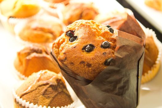 Food conceptual image. Fresh muffins with raisins.